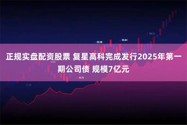 正规实盘配资股票 复星高科完成发行2025年第一期公司债 规模7亿元