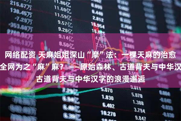 网络配资 天麻姐姐深山“摩”法：一棵天麻的治愈之旅，如何让全网为之“麻”麻？ ——原始森林、古道背夫与中华汉字的浪漫邂逅