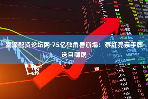 资深配资论坛网 75亿独角兽崩塌：蔡红亮亲手葬送自嗨锅