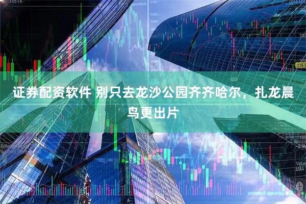 证券配资软件 别只去龙沙公园齐齐哈尔，扎龙晨鸟更出片